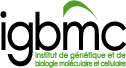 IGBMC Logo